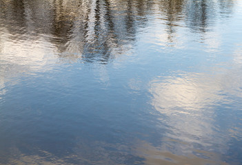 Reflection of trees in the water. Plant without leaves, shot in spring. The water in the lake is blue. Almost calm.