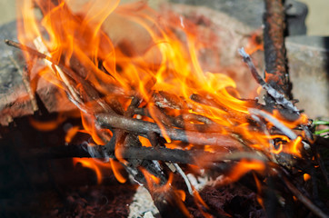 fire burns in the forest. Fires