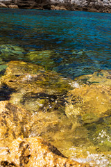 life amongst the rocks