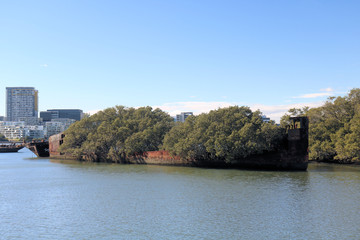 Obraz premium SS Ayrfield Shipwreck Homebush Bay