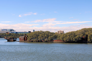 Obraz premium SS Ayrfield Shipwreck Homebush Bay