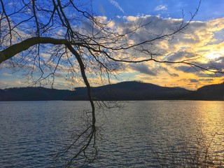 Ast ohne Blätter am See im Sonnenuntergang