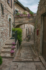 Fototapeta na wymiar Vicolo con fiori nel borgo medievale di Spello in Umbria