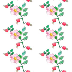 Watercolor seamless pattern with rose flowers and rose hip isolated on white