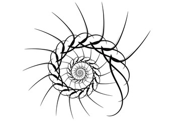 Spiral vector design elements. Abstract lines black and white. Swirl background.