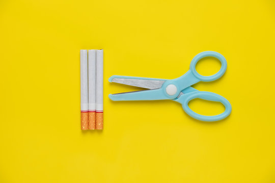 Blue scissors cut cigarette and tobacco on yellow background pastel tone. quitting smoking for teenage smoker concept.