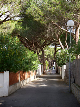 die Strassen der Insel Elba in Italien, immer eine Entdeckungsreise wert, wer zu Fu&szlig; geht, sieht und sp&uuml;rt sich eindeutig mehr und tiefer in das Inselleben rein