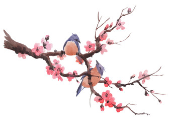 Watercolor sakura branch © zenina