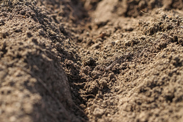  Soil texture in a spring time.