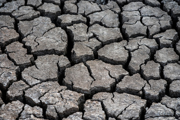  Dry and cracked soil