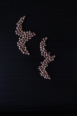 set of raw peanuts making design on a dark wooden table