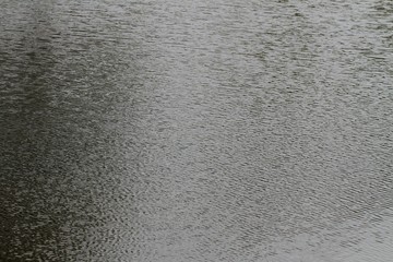 Surface of the water in lake.