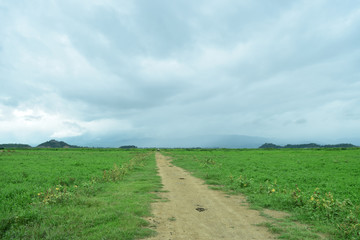 plain ground in manipur 