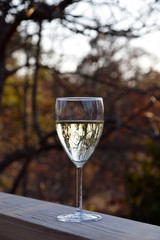 glass of wine with trees in the background on a summer evening in Sweden
