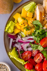 Grilled Chicken Mango Salad with cilantro, cucumbers, cherry tomatoes and red onion, top view, close up