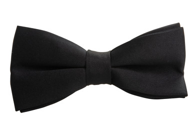 men's tie butterfly isolated