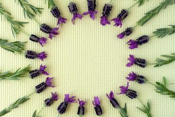 Frame made with lavender on color background. Top view with copy space