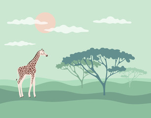 banner giraffe savannah vector