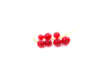 Red currant berry isolated on white. A bunch of red currant..