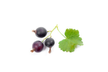 Black currant berry isolated on white. A bunch of black currant..