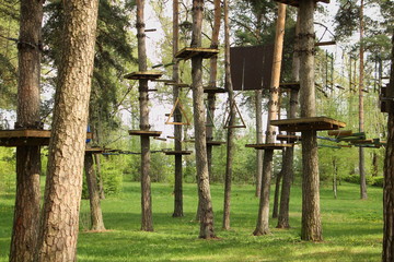 Outdoor rope park in forest - activity sports