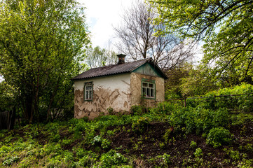 Fototapeta na wymiar old abandoned house among the thickets of greenery