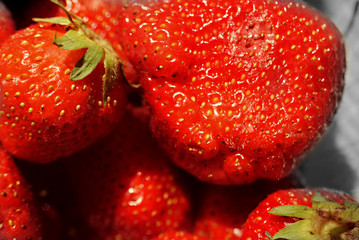 Fraises
