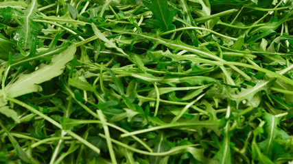 Fresh leaves of arugula as background.