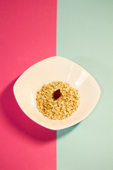 oat flakes in ceramic bowl with dried dog 