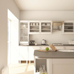 Fototapeta na wymiar Render of 3D Contemporary kitchen