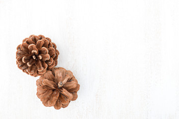 Pine cones on a white background. Free text space