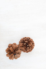 Pine cones on a white background Free text space