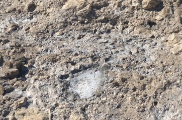 rocky shore close-up