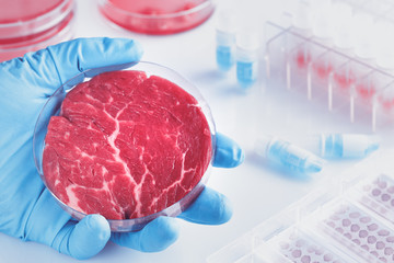 Meat sample in open  disposable plastic cell culture dish in modern laboratory