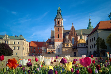 Morning view of the Wawel cathedral and Wawel castle on the Wawel Hill, Krakow