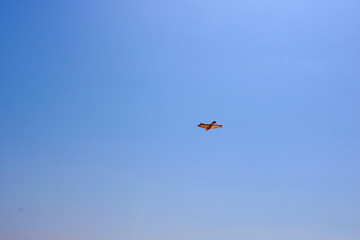 A bird shaped kite on the sky 