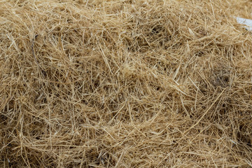 Dry hay on a wooden background