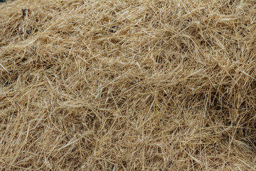 Dry hay on a wooden background
