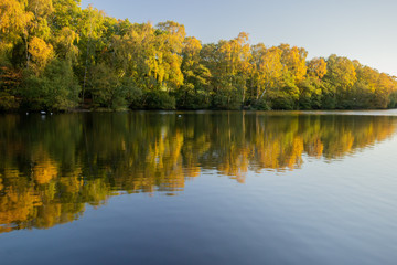 The Coppice Pond in Bingley St Ives, Yorkshire, is a favourite spot for people to relax especially on a tranquil autumn day when the colour of the trees reflects vibrantly in the water