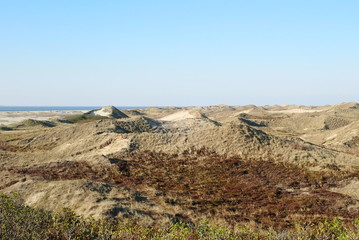 Weiß- und Graudünen auf Amrum bei Norddorf