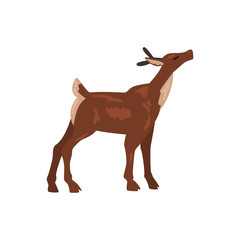 Cute Baby Deer Animal, Side View Vector Illustration