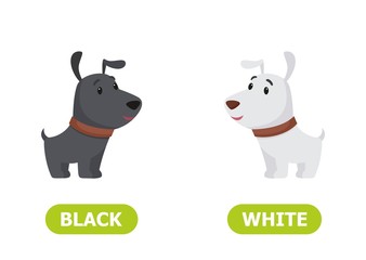 Illustration of opposites puppy black and white..Card for teaching aid, for a foreign language learning. Vector illustration on white background..