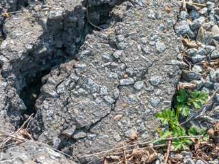 background image pieces of broken asphalt with text field