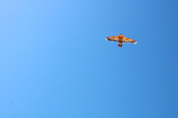 A bird shaped kite on the sky 