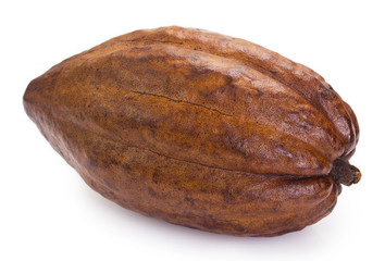 Cocoa pod on white background