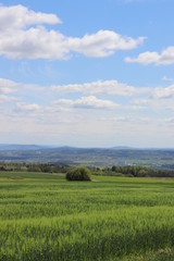 Fototapeta na wymiar Landschaft Deutschland Felder Ausblick Frühling