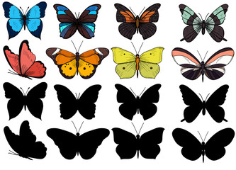  isolated, set of butterflies collection, with sketch and silhouette