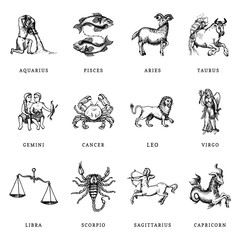 Zodiac symbols set, hand drawn in engraving style. Vector graphic retro illustration of astrological signs. © vladayoung