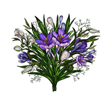 Vector illustration of easter floral bouquet of lilies and crocuses with bow in vintage style isolated on white
