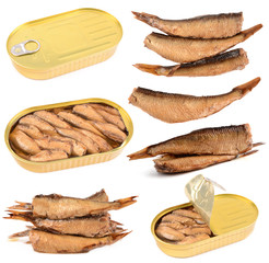 sprats